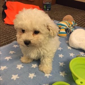 Meet your Posher, Ian